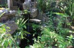 IMG_3668small.jpg