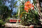 IMG_2910small.jpg