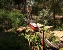 IMG_3869smalll.jpg
