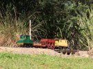IMG_3768small.jpg