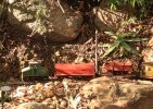 IMG_5590small.jpg