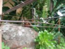 IMG_20190910_104455.jpg