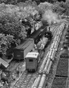 live steam shay with cars 2.jpg