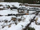 first snow - 1 _3_.jpg
