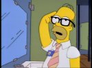 homer.jpg homer.jpg