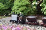DSC_0736.JPG