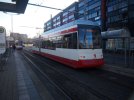 19-P1170767.jpg