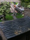 IMG_20190812_101937.jpg