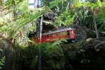 IMG_9605small.jpg