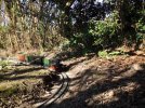 DSCF3591 _Small_.JPG