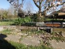 DSCF3669 _Small_.JPG