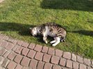 IMG_20200422_180142.jpg