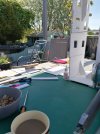 IMG_20200509_100055.jpg