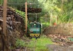IMG_0304small.jpg