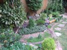 DSCF7901.JPG