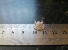 IMG_20200801_171832.jpg