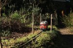 IMG_0406small.jpg