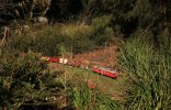 IMG_0702small.jpg