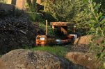 IMG_0844small.jpg
