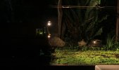 IMG_0070small.jpg