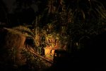 IMG_0055small.jpg