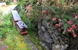 IMG_0998small.jpg