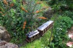 IMG_1004small.jpg