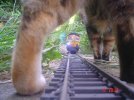 DSC01730.JPG