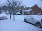 IMG_1078.JPG IMG_1078.JPG