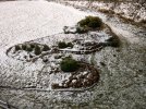 IMAG1319-1.jpg