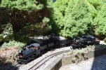 DSC_0806.JPG DSC_0806.JPG