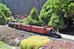 DSC_0804.JPG