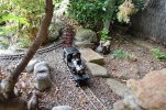 DSC_0809.JPG