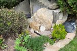 5 dead bush gone and finished area.jpg 5 dead bush gone and finished area.jpg