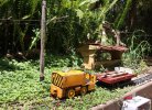 IMG_9880small.jpg