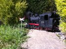 Rugens on the crossing.JPG
