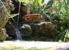 IMG_9610small.jpg