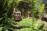 IMG_9617small.jpg