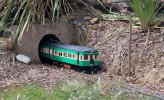 IMG_1467small.jpg
