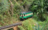 IMG_1513small.jpg