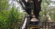 Garden Railway Treehouse Remodeled-17.JPG