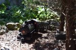 DSC_1031.JPG DSC_1031.JPG