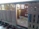 IMG_20210117_100811.jpg