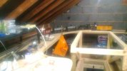 P_20210119_163330.jpg
