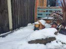 20210124_123518.jpg