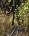IMG_1707small.jpg