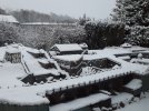 20201229_083951.jpg 20201229_083951.jpg