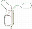 2021_Spring_Layout.JPG