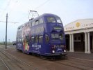 D5-616a.JPG