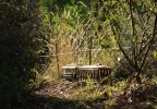 IMG_1818small.jpg
